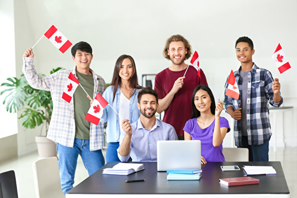 加拿大留学生必备生活经验分享🇨🇦-石榴树下