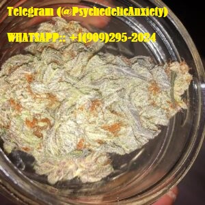 WHATSAPP::+1(909)295-2024 BUY MARIJUANA,HASH,CANNABIS-石榴树下